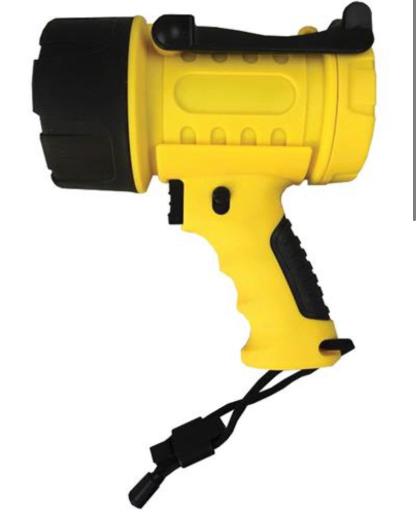 Perfect Image 300 Lumen LED Waterproof Spotlight
