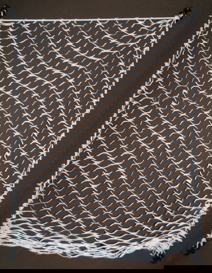 Elastic Securing Nets